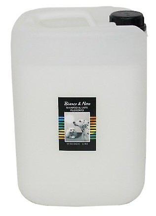 San Bernard Shampoo Universal Black and White (Dogs , Grooming & Wellbeing , Shampoos) 10 L