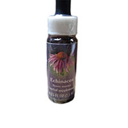 Flower Essence Services Echinacea Dropper, 0.25 oz (Pack of 1)