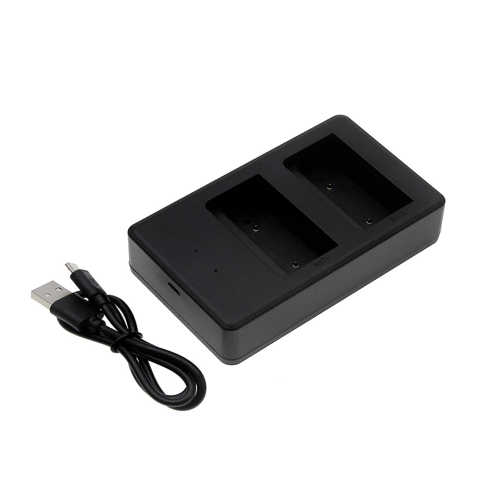 Cameron Sino Battery Charger for Palfinger RC-400 Scanreco 590 RSC7220 YWW0439 EEA4404 IM6024