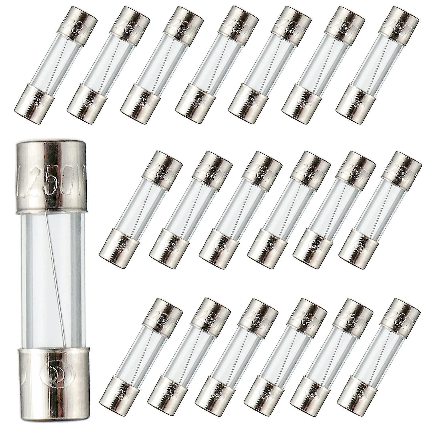 Snngv F10al250v 5x20 Mm 10a 250v Fast Blow Fuses 10 Amp 250 Volt 0.2 X 0.78 Inch Glass Tube Fuses (pack Of 20 Pieces)