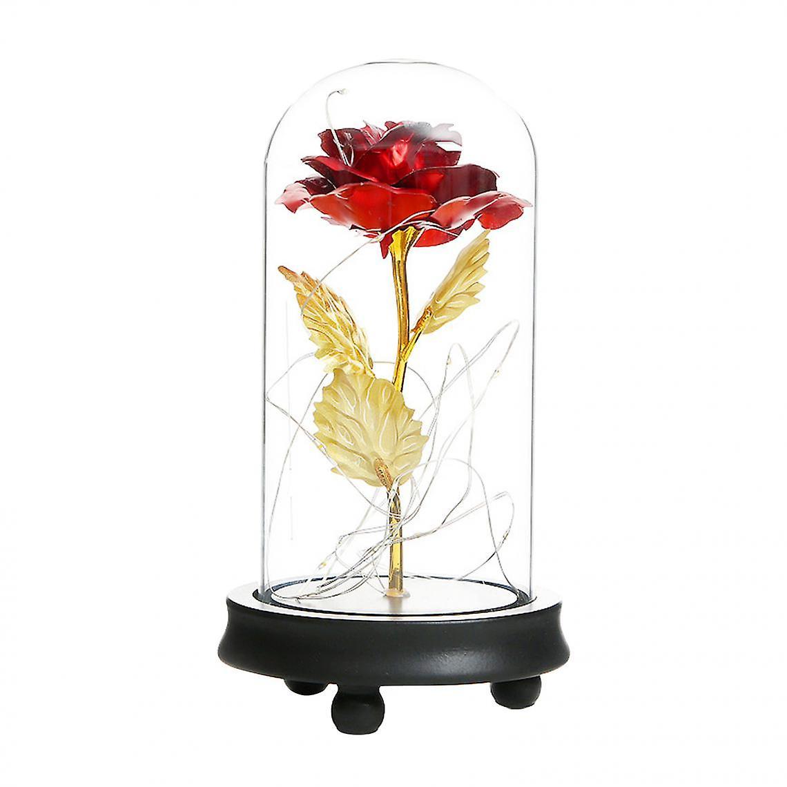 Jiekesen Fresh Holding Red Rose, Beautiful And Elegant Bloom In Glass Lid, Valentine's Day Gift For Her