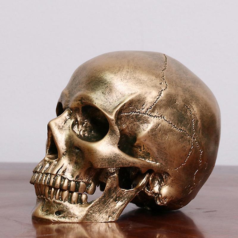 unbrand Human Bronze Resin Skull Model Medical Halloween Realistic 1:1 Statue Decor Gold 1 Pcs