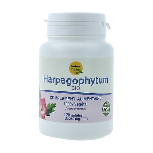 Nature et Partage Ecocert certified Organic Harpagophytum - 120 tablets of 250mg 120 capsules