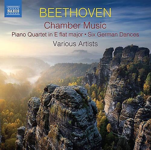 Naxos Beethoven - Chamber Music  [COMPACT DISCS] 2 Pack USA import