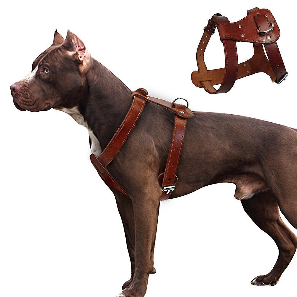 Didog Heavy Duty Genuine Leather Dog Harness Durable for Small Medium Large Dogs Boxer M:Chest 40-60cm