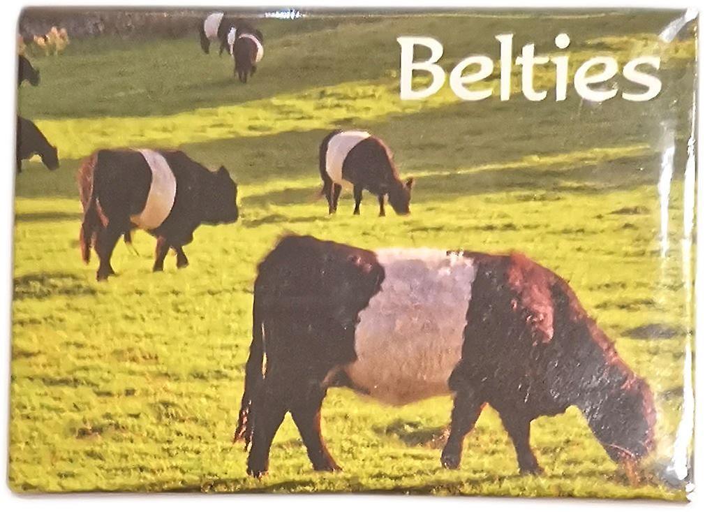 Lomond Books Belties (Scottish Belted Galloways Magnet by Lyrical Scotland Black / White / Green