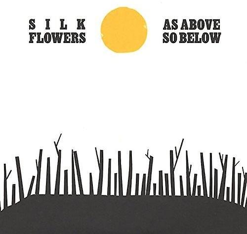 Captured Tracks Rec. Silk Flowers - As Above So Below  [VINYL LP] USA import