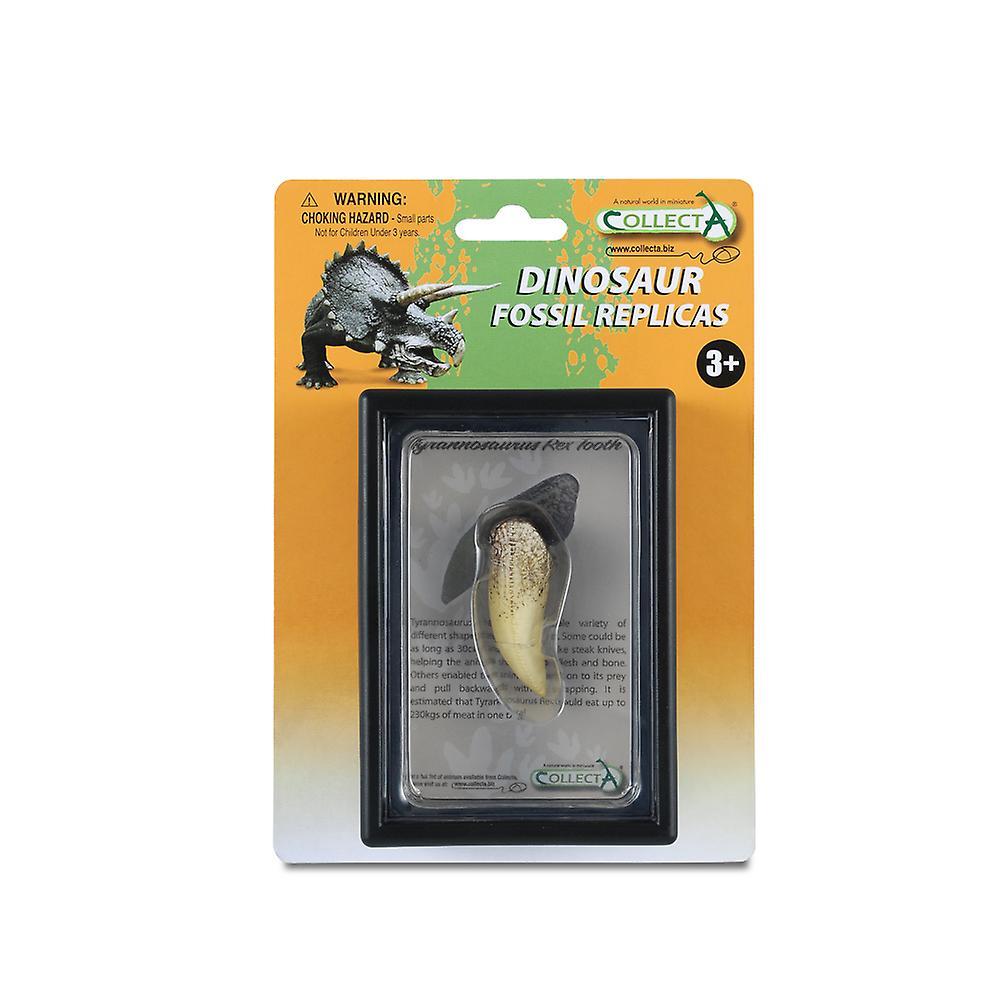 CollectA Tooth Of Tyrannosaurus Rex Box Set Multicolour