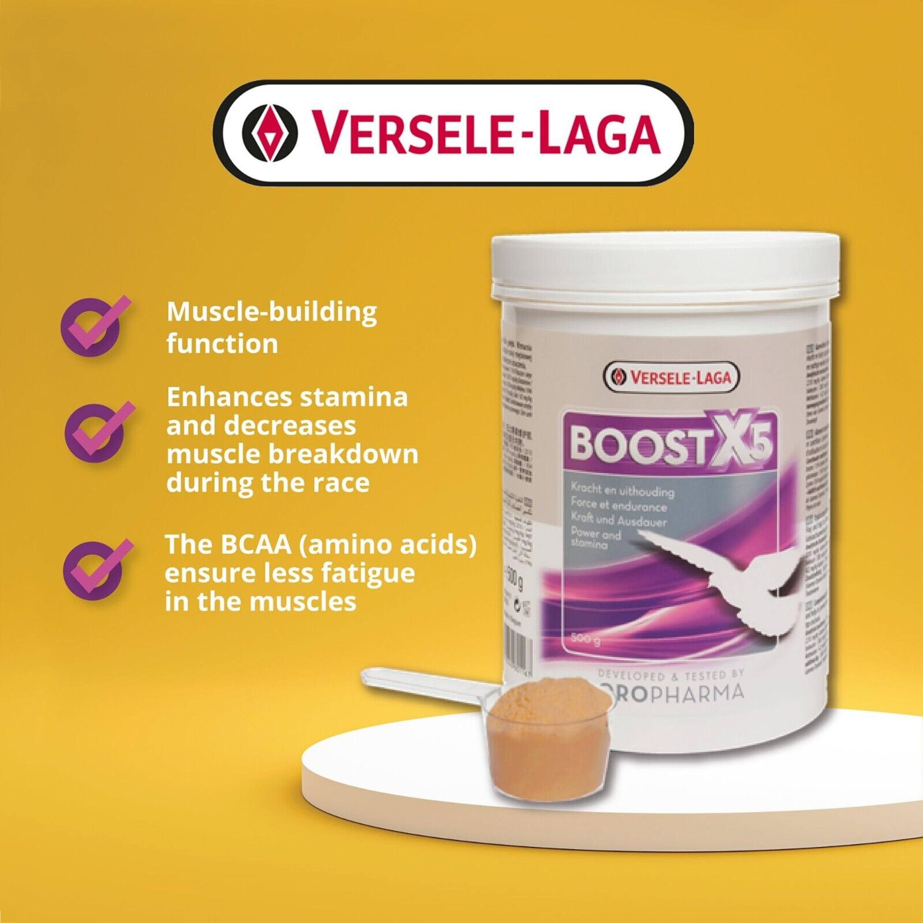 Versele-Laga Oropharama Pigeon Boost X5 500g