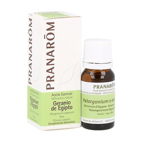 Pranarôm Egyptian Geranium Essential Oil 10 ml of essential oil