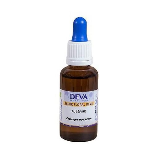 Deva Organic Hawthorn 30 ml of floral elixir