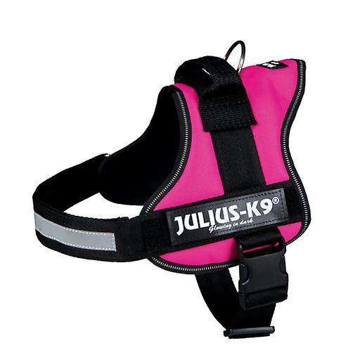 JULIUS-K9 Julius K9 Julius K9 harness Fuchsia (Dogs , Collars, Leads and Harnesses , Harnesses) 29-36 cm