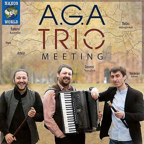 Naxos Meeting / Various - Meeting  [COMPACT DISCS] USA import