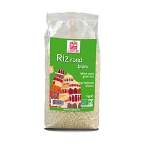 Celnat Round White Rice 1 kg