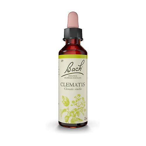 Bach Flower Essences 09 - Clematis 20 ml of floral elixir