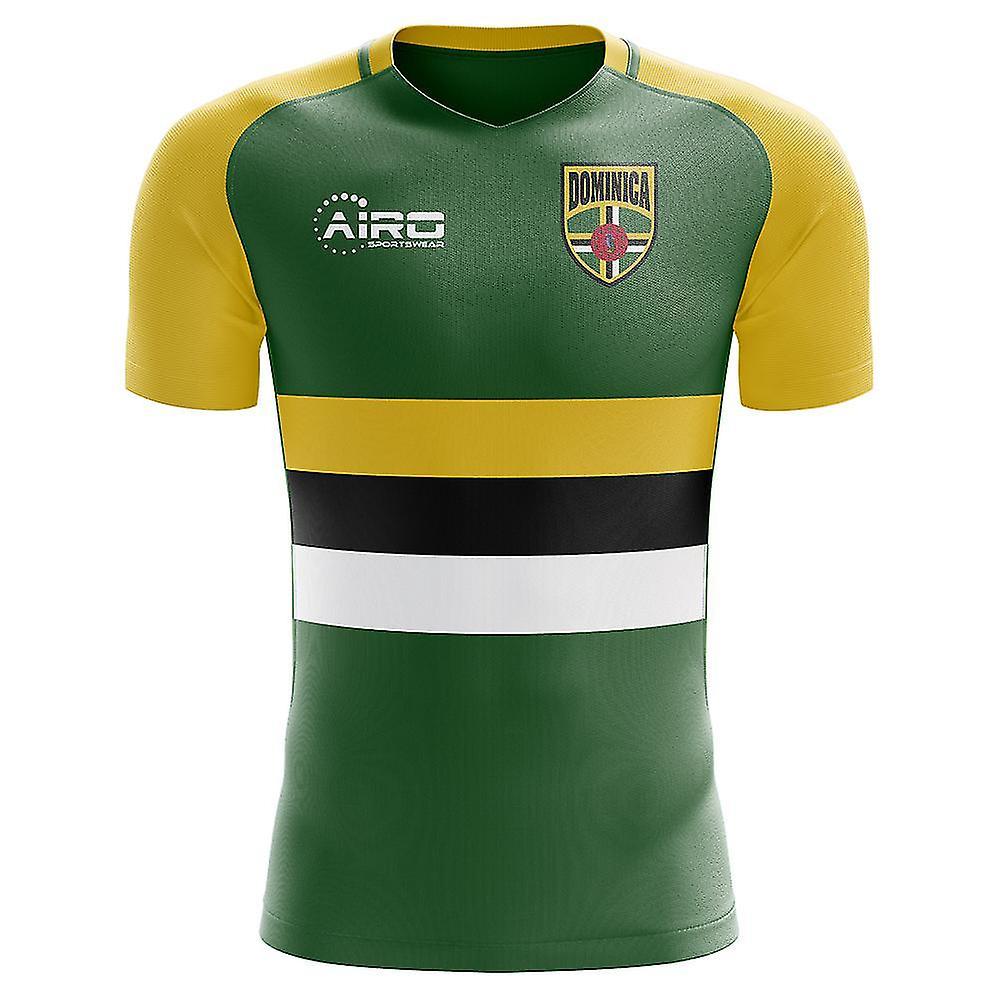 Airo Sportswear 2024-2025 Dominica Home Concept Football Shirt Green L