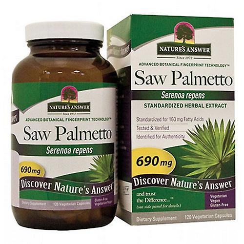 Nature's Answer Saw Palmetto Berry Extract, 120 Veg Caps (Pack of 1)