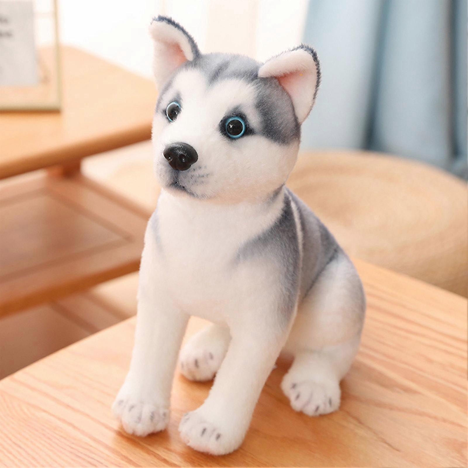 unbrand Cute Huskies Stuffed Dog Simulation-Realistic & Lifelike Puppy Doll Gifts for Girls Boys Toddlers 25cm Sitting Husky