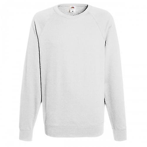 Lightweight Raglan Sweatshirt (240 GSM)