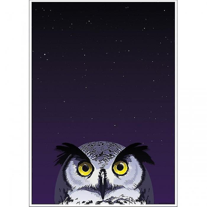 Owl Poster