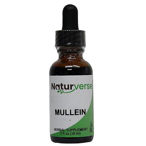 Naturverse Mullein Liquid Extract, 1 Oz (Pack of 1)