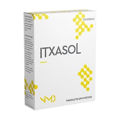 Cela Vista Itxasol urinary system 30 capsules