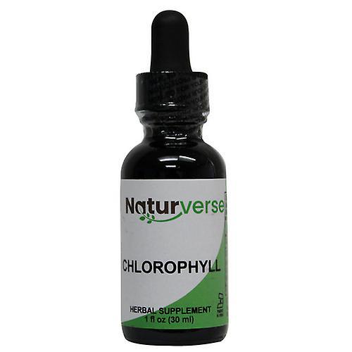 Naturverse Chlorophyll Formula Liquid Extract Alcohol-Free, 1 Oz (Pack of 1)