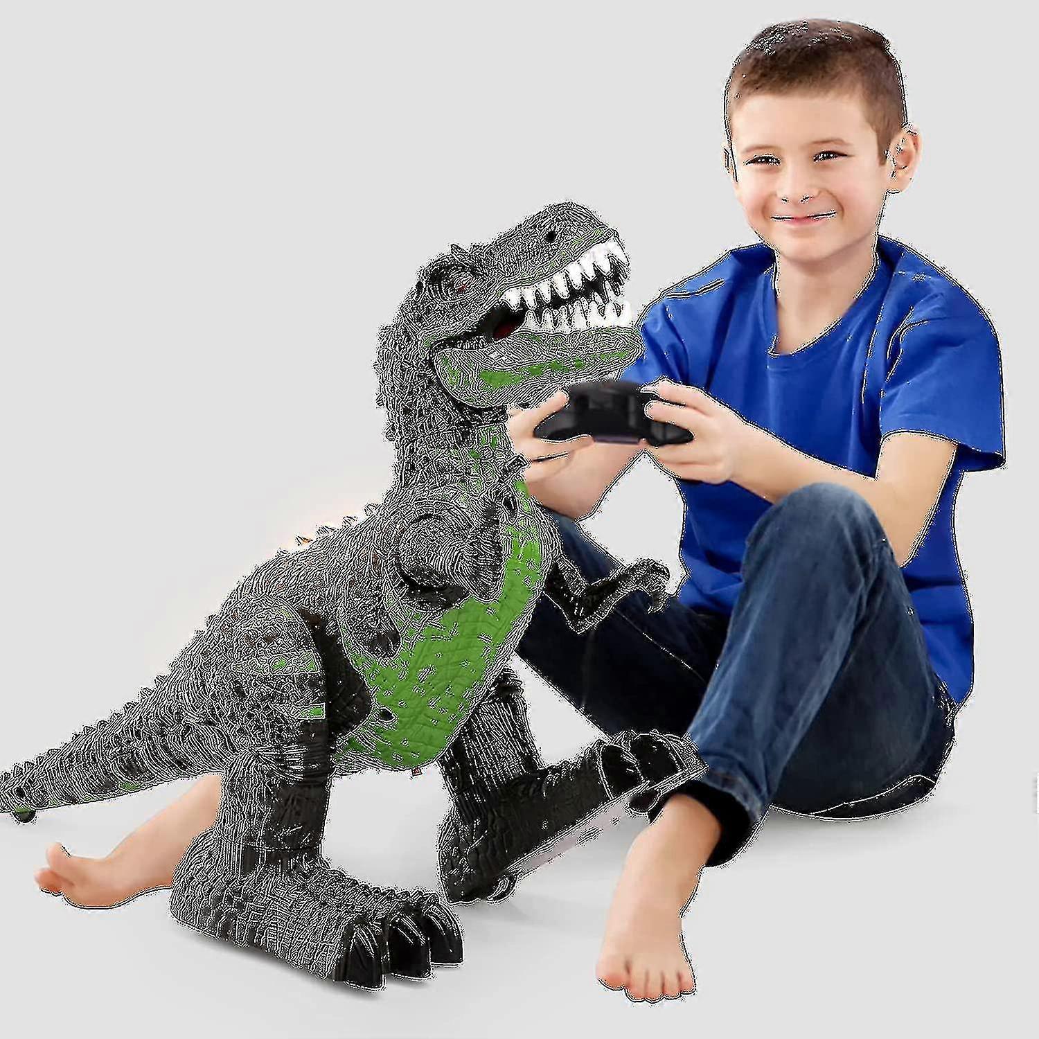 Wwxx 2.4ghz Remote Control Dinosaur Toys, Walking Robot Dinosaur With Led Light & Sound, Simulation [xh]