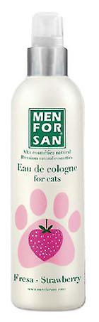 Men For San Strawberry Cats Cologne (Cats , Grooming & Wellbeing , Cologne) 125 ml