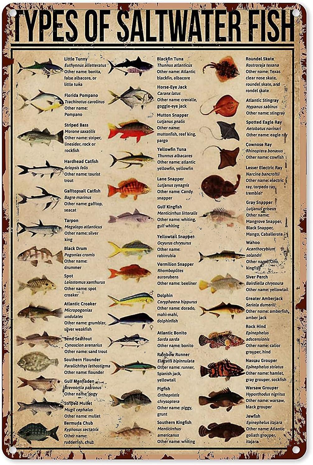 LINCMAN Fishing Art Posters Type Of Fish Freshwater Game Fish Knowledge Metal Sign Decor Tin Aluminum Sign Wall Art Metal Poster For Man Cave Home ...