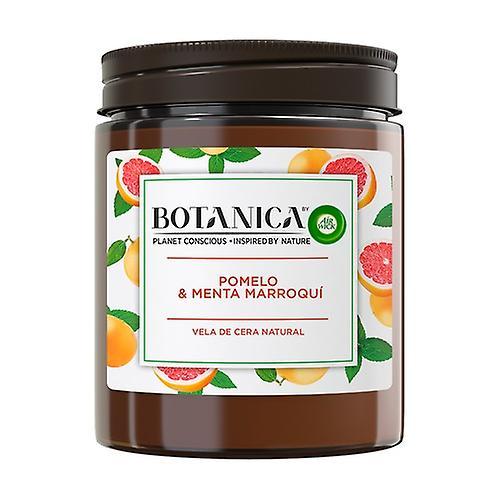 Botanica by Air Wick Moroccan Grapefruit and Mint Natural Wax Scented Candle 205 g