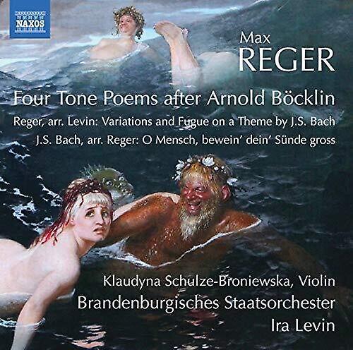 Naxos Reger / Schulze-Broniewska / Levin - Orchestral Works  [COMPACT DISCS] USA import