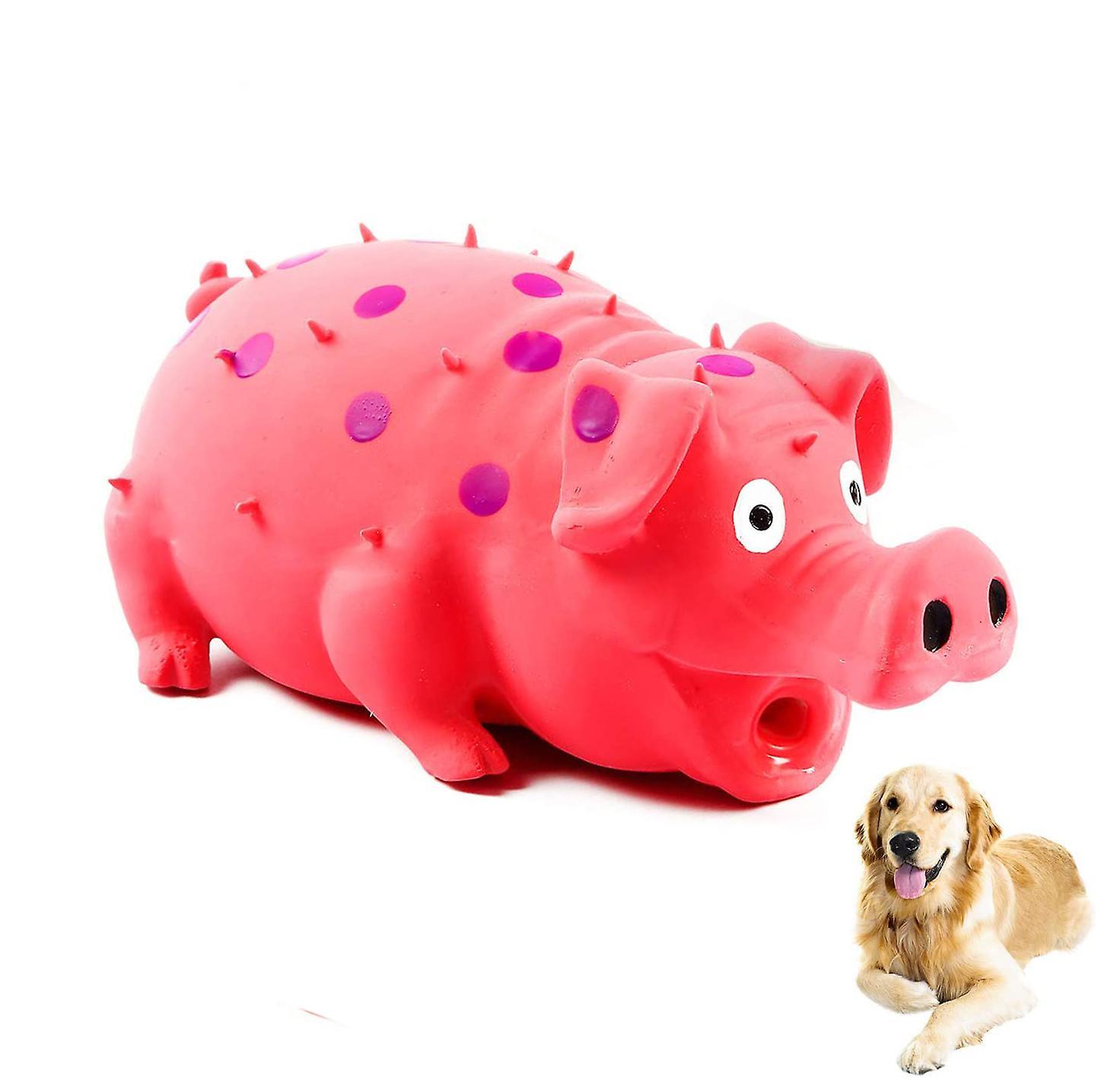 Ciuu Squeaky Pig Dog Toys, Grunting Pig Dog Toy That Oinks Grunts for Small Medium Large Dogs, Durable Rubber Pig Squeaker Dog Puppy Chew Toys, Lat...