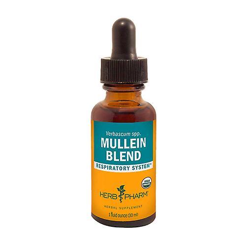 Herb Pharm Mullein Blend, 1 Oz (Pack of 1)