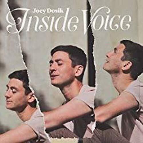 Secretly Canadian Joey Dosik - INSIDE VOICE  [VINYL LP] USA import