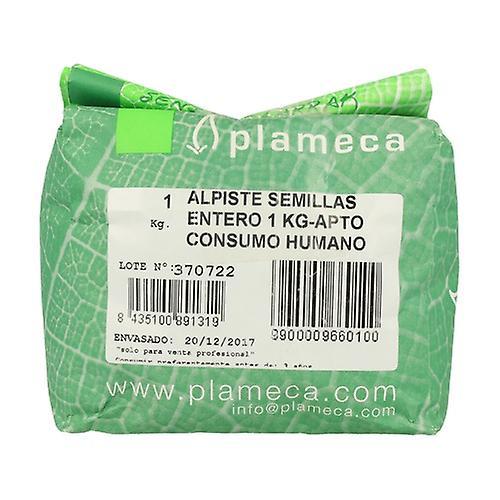 Plameca Canary Whole Seeds 1 kg