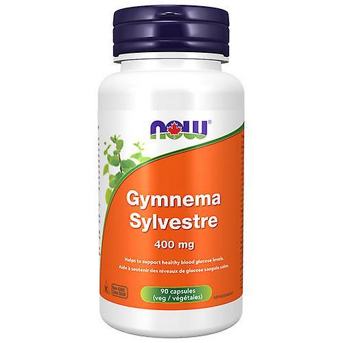 Now! Now Gymnema Sylvestre,400mg ,90 VegCaps (Pack of 1)