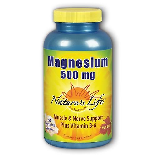 Nature's Life Magnesium,500 mg ,250 caps (Pack of 1)