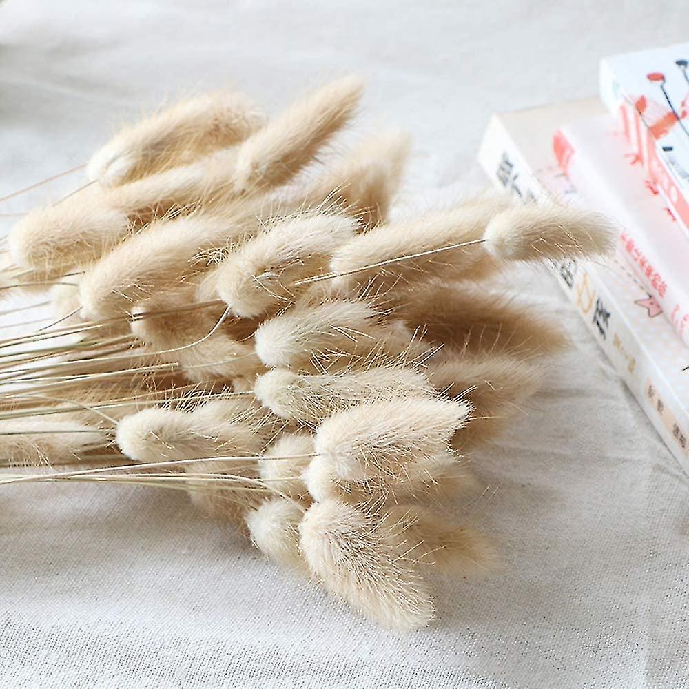 Sunrain Natural Dried Ovatus 90 Pcs, Dried Bunny Tails Pampas Compatible With Flower Arrangements