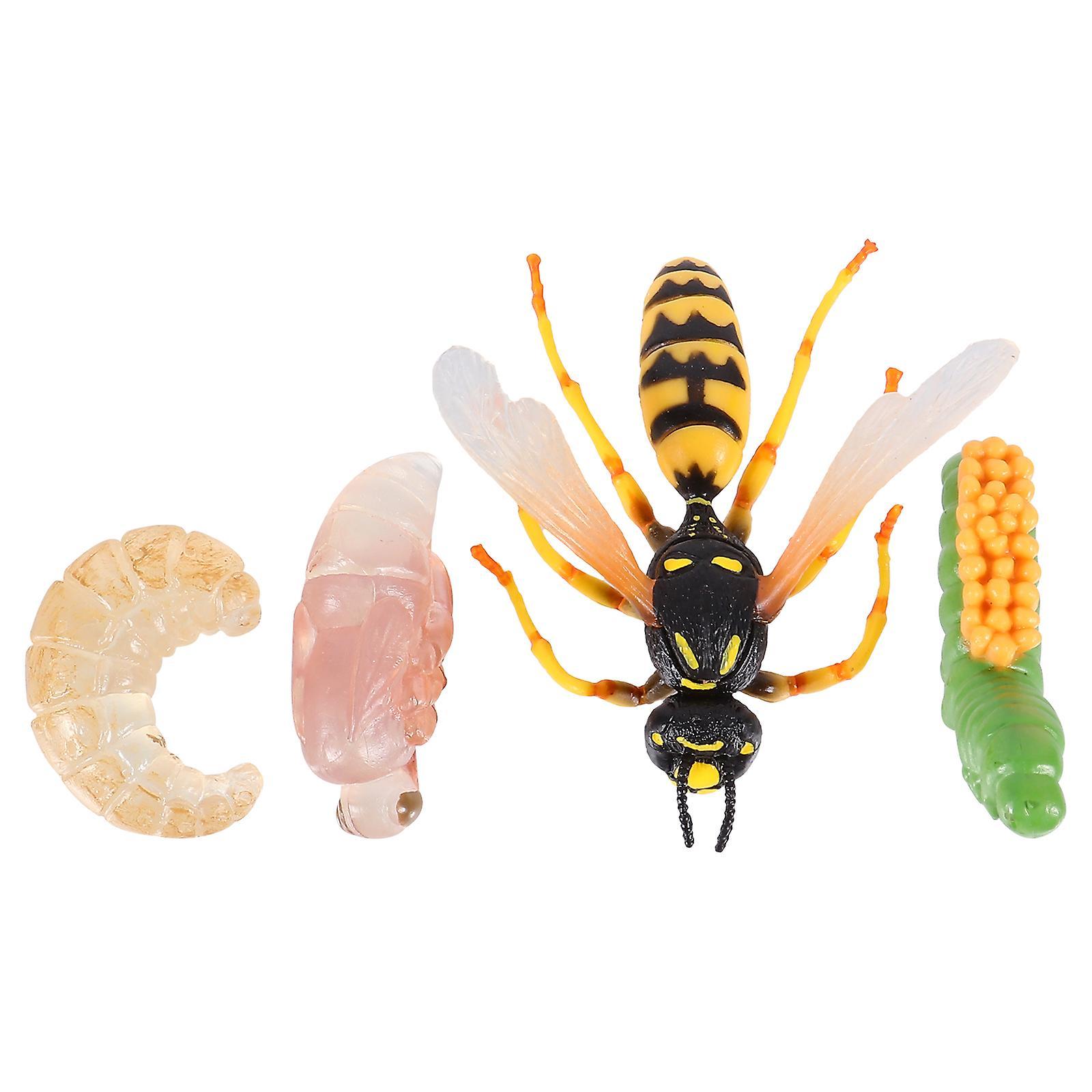 Tinksky 1 Set/4pcs Realistic Insect Growth Model Wasp Display Ornament Kids Cognitive Toy 8.5X5CM