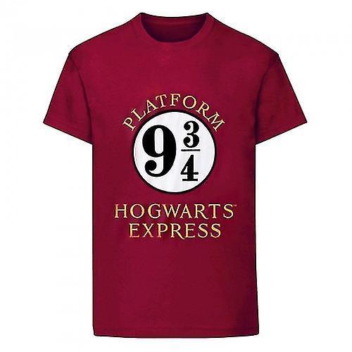 Hogwarts Express T-Shirt