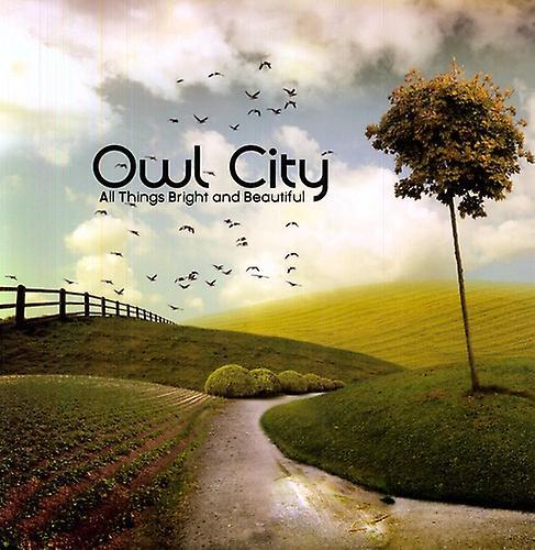 Republic Records Owl City - All Things Bright and Beautiful  [VINYL LP] USA import