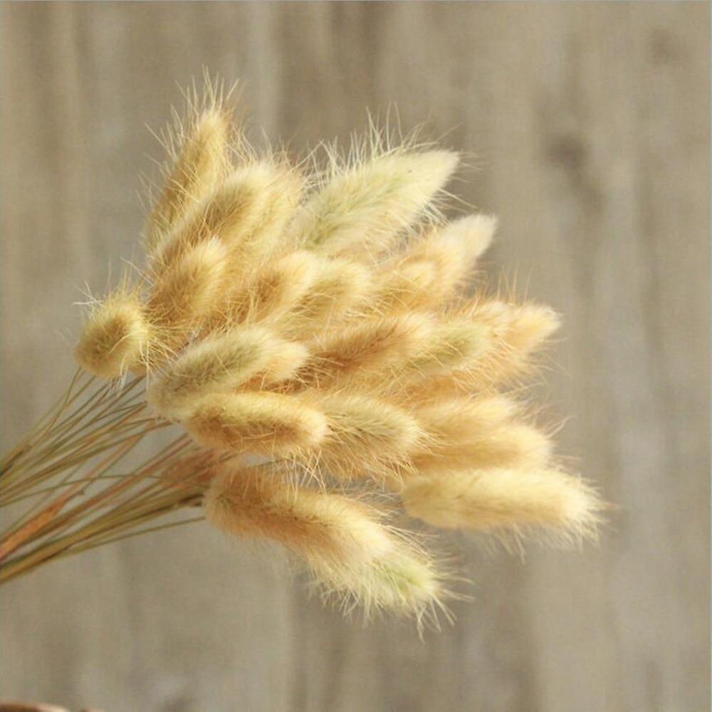 Slowmoose Bulrush Natural Dried Small Pampas Grass, Artificial Plants For Wedding, Home 30pcs primary color