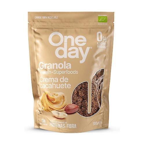 ONE DAY Granola Peanut Butter Protein & Superfoods Bio 300 g (Peanut)