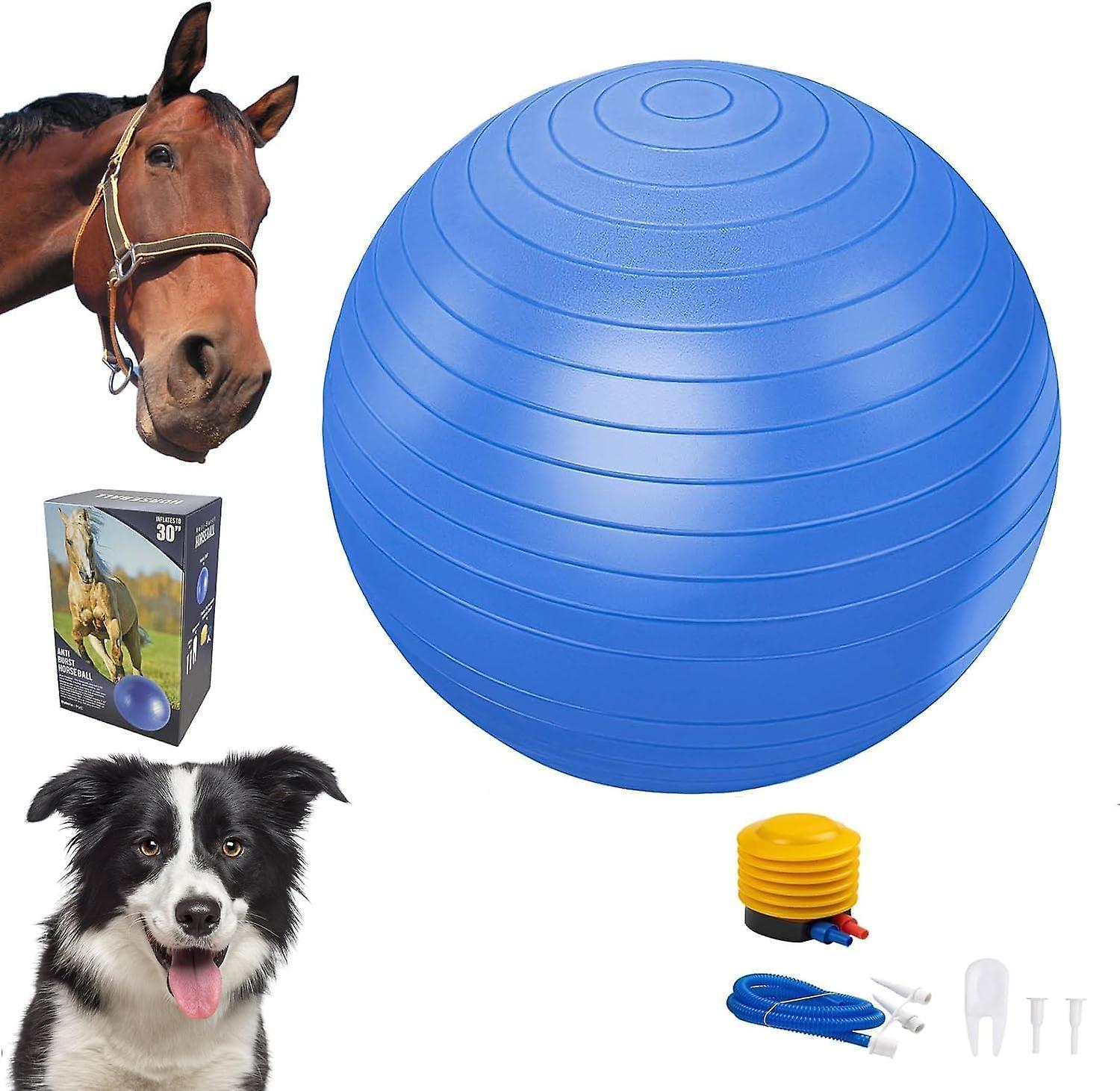 Frusde 30" Herding Ball, Herding Horse Ball Toys for Horses, Mega Herding Dog Balls with Hand Pump, Blue Anti-Burst Herding Ball for Horses