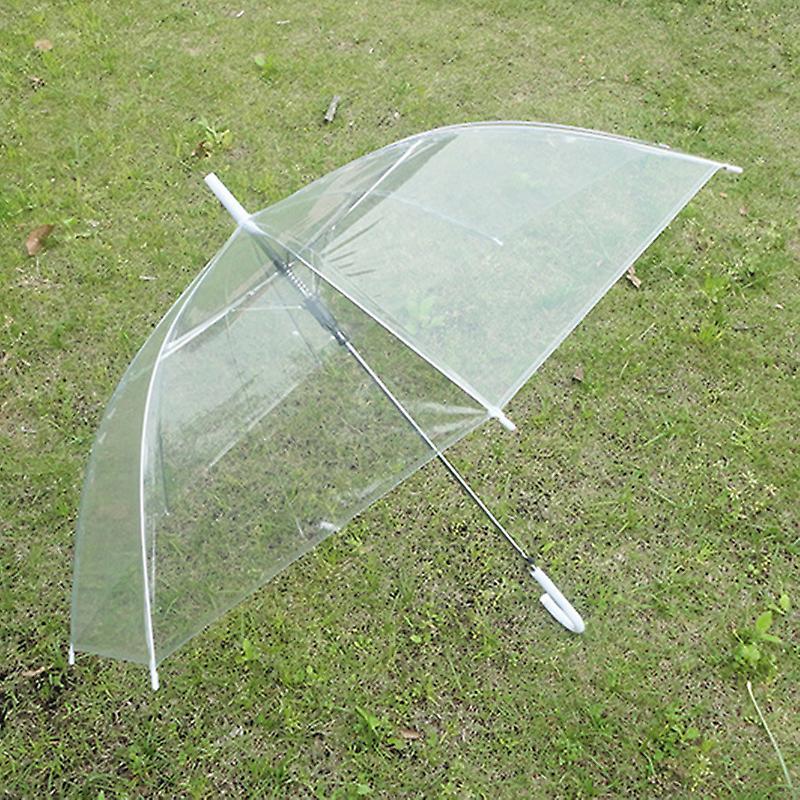 Camila Transparent umbrella, umbrella, 8 bones, windproof, diameter 92cm, automatic opening