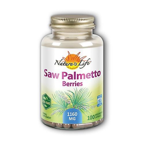 Nature's Life Saw Palmetto Berries, 100 Caps (Pack of 1)