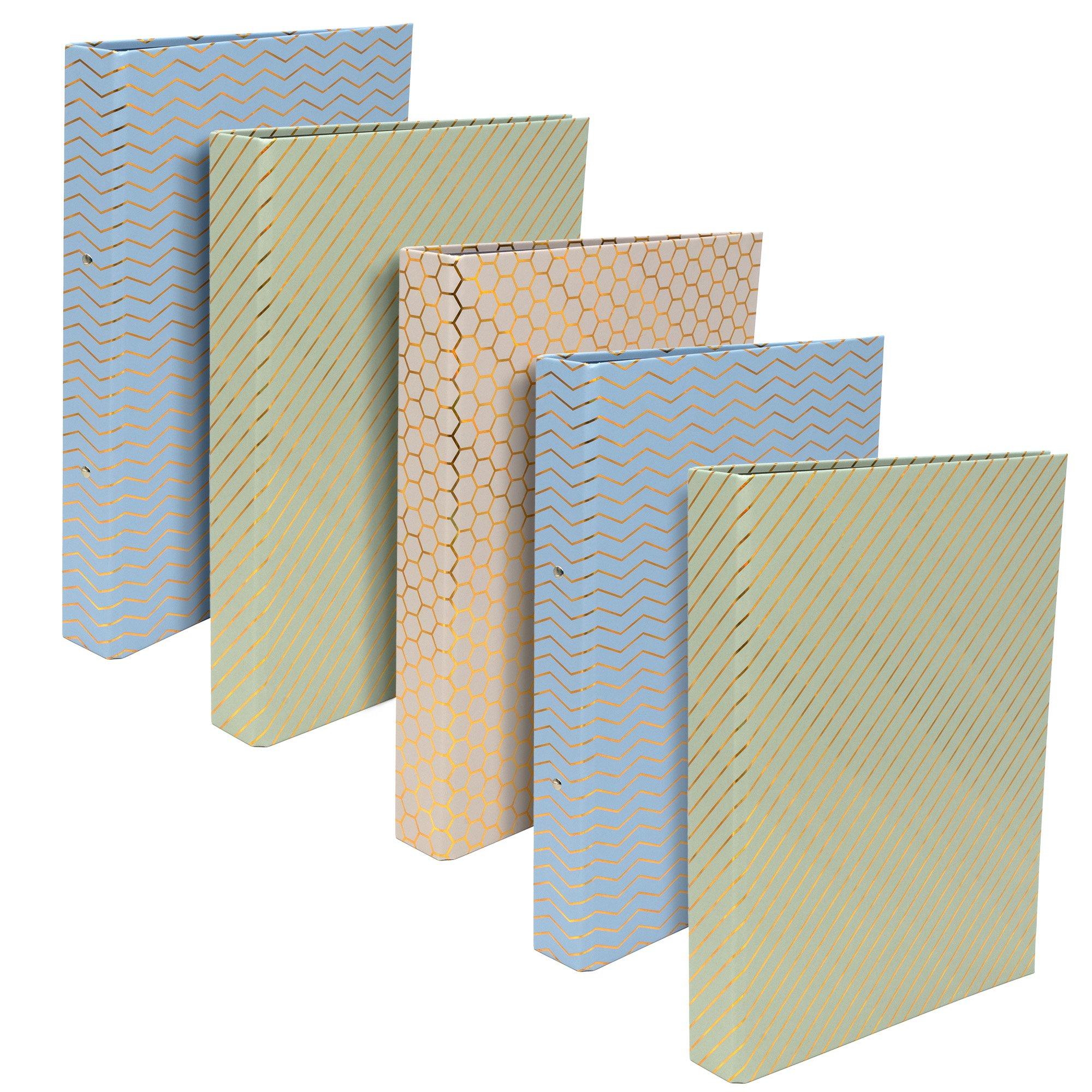 Pukka Haze A4 Ringbinder Files (5) Assorted