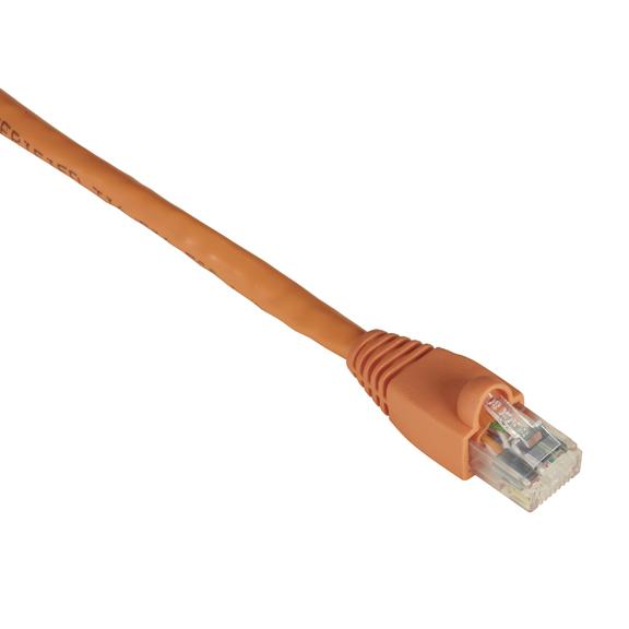 Black Box 0.3m UTP Cat6 Networking Cable Orange U/UTP (UTP)