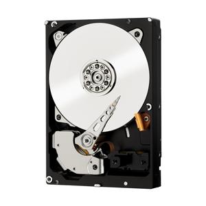 Western Digital RE 3.5" 250 GB Serial ATA III